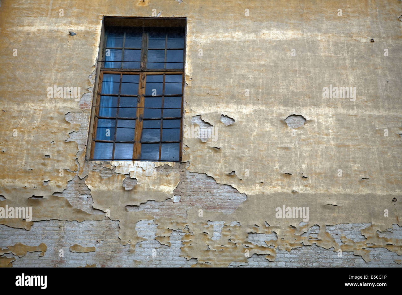 Cracked paint on a wall and windows detail - via pier andrea mattioli - Sienna - Tuscany - Italy Stock Photo