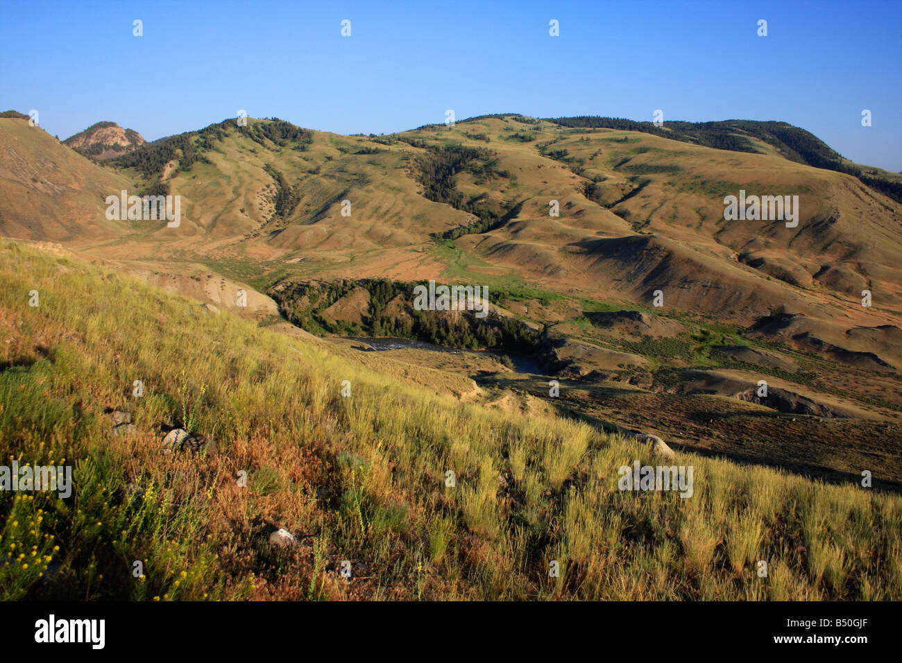 North Yellowstone landscape from hills above Gardiner Montana