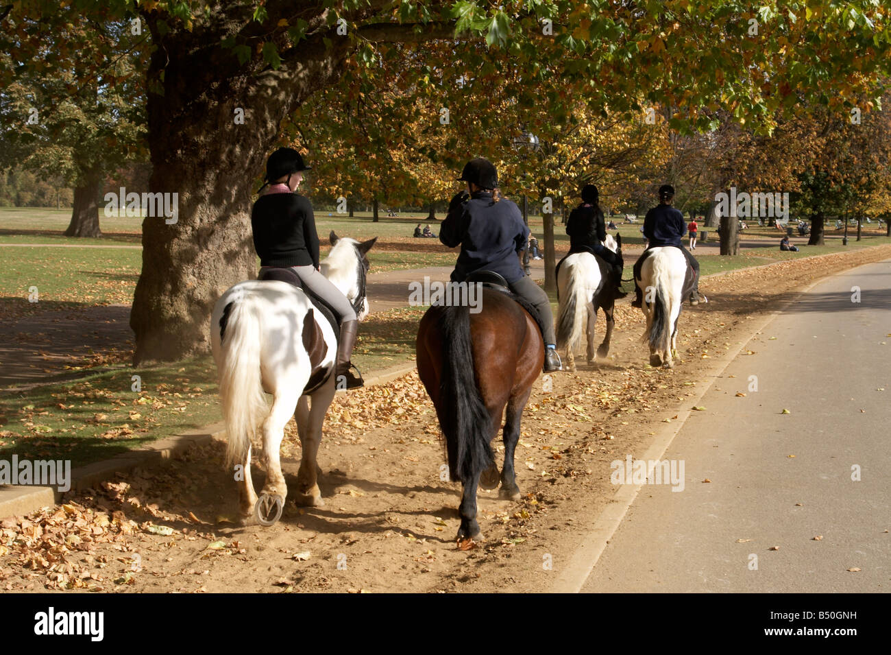 Horse riding through Hyde Park, London Stock Photo Alamy