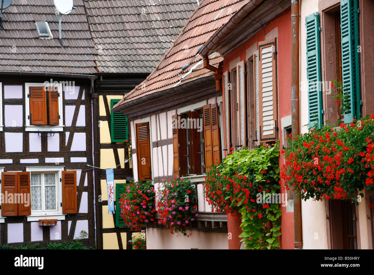 Sep 2008 Colorful half timbered houses in Ribeauville Alsace France Stock Photo