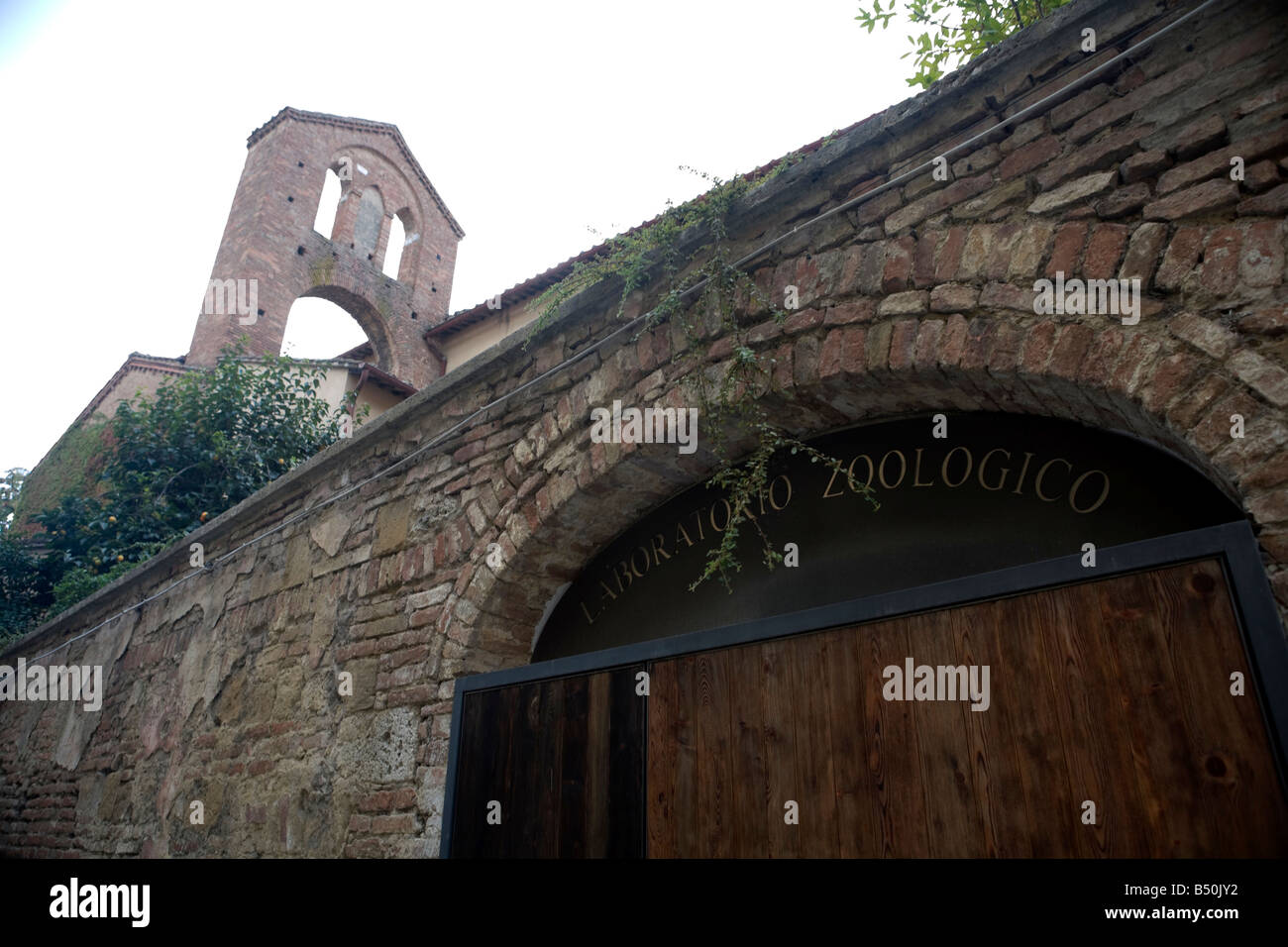 Laboratorio Zoologico - via pier andrea mattioli - Sienna - Tuscany - Italy Stock Photo