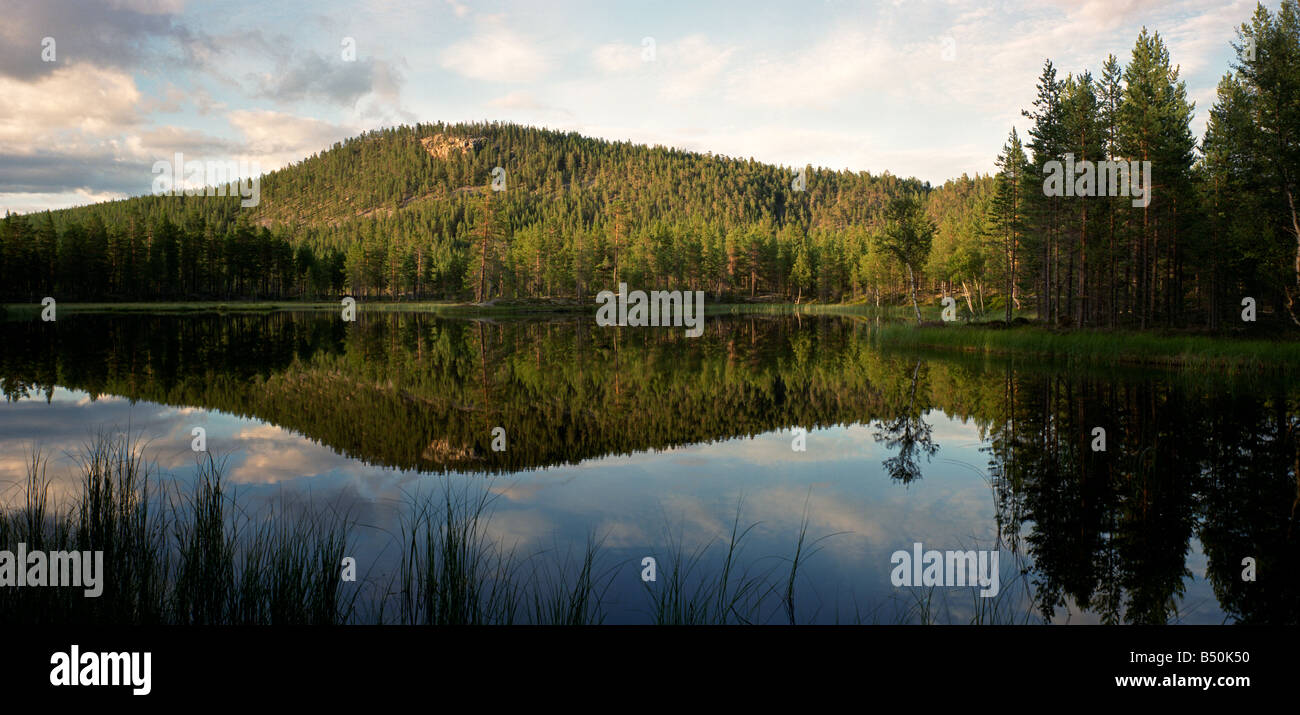Hallsjon hi-res stock photography and images - Alamy
