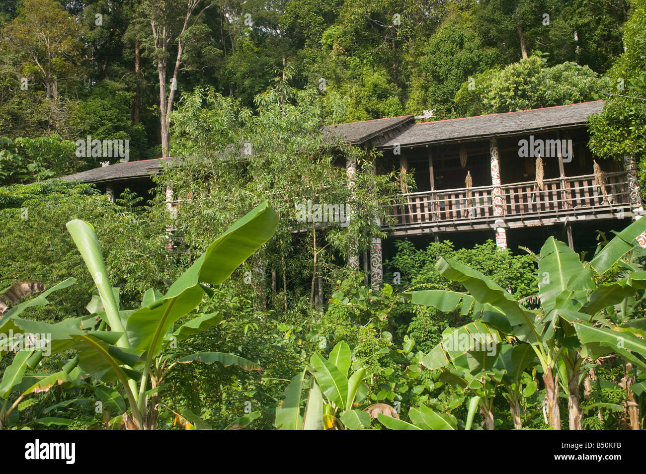 A Tribal Longhouse In Forest At The Sarawak Cultural Village Damai Nr ...