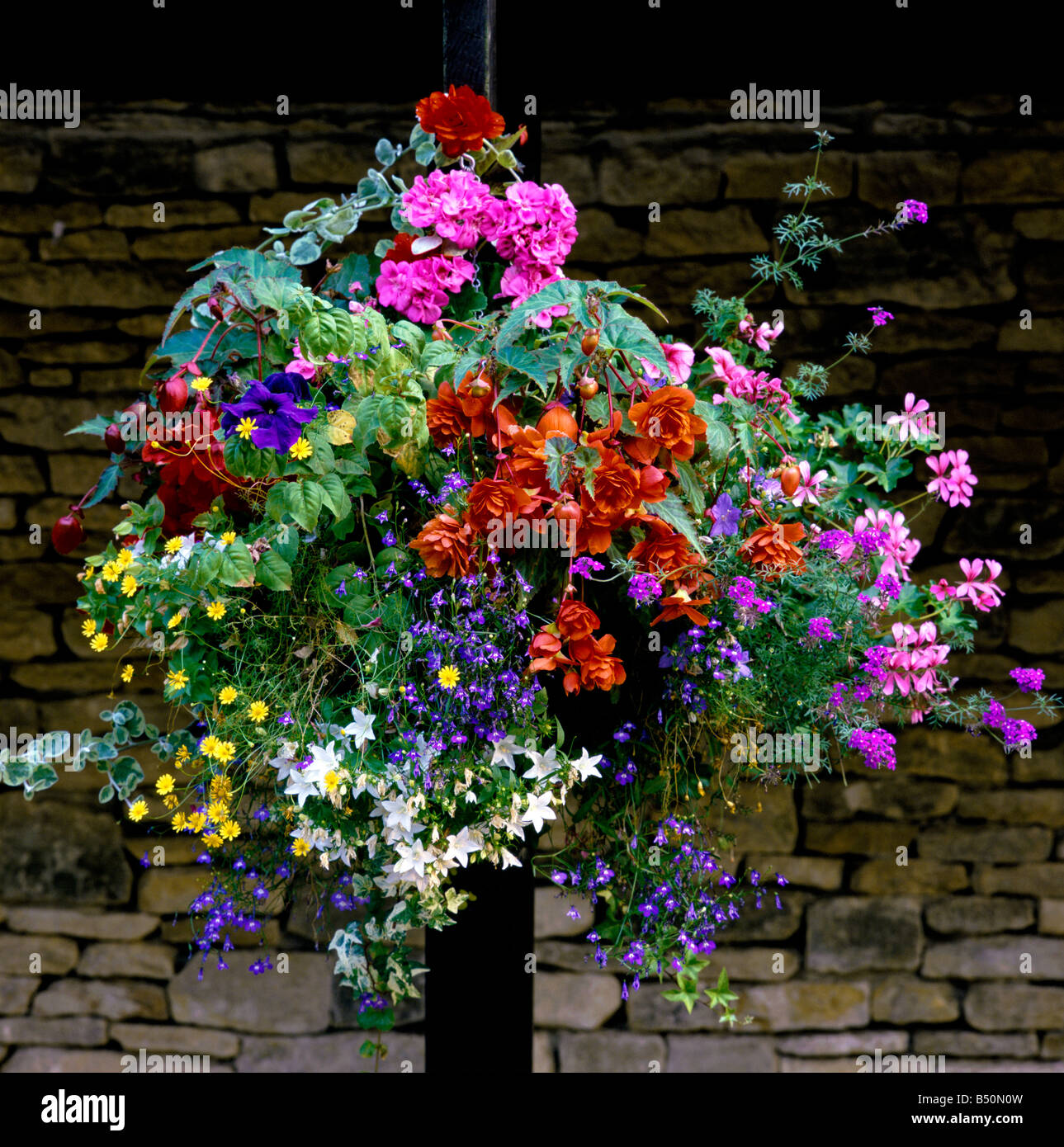Hanging Basket Container Mixed Planting Stock Photo Alamy