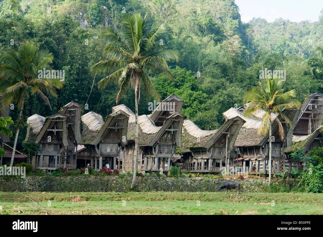 Houses and rice barns of the Ke'te Kesu village (Sulawesi - Indonesia). Maisons et greniers à riz du pays Toraja (Indonésie). Stock Photo