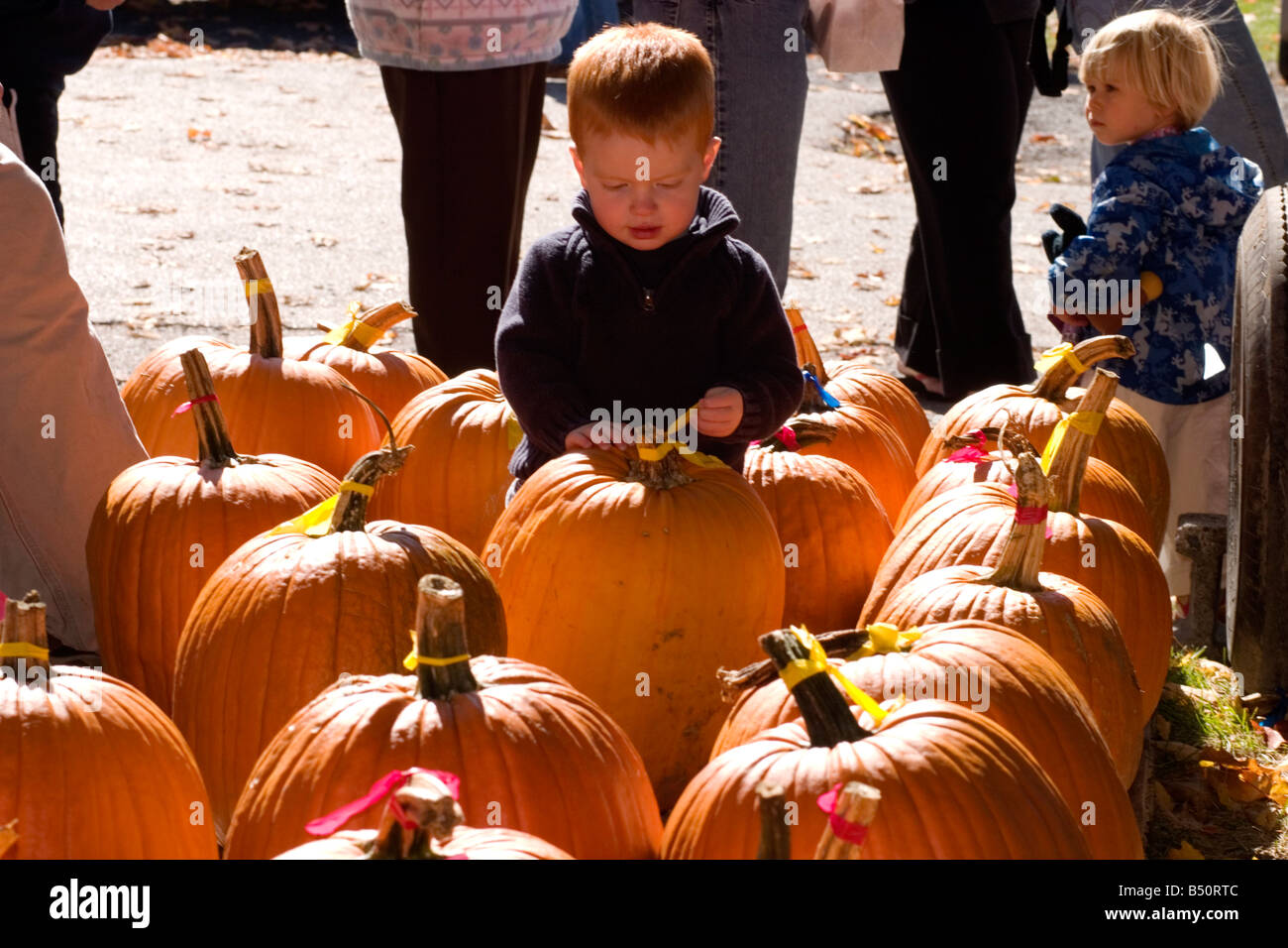 South Hero Applefest Vermont Stock Photo Alamy