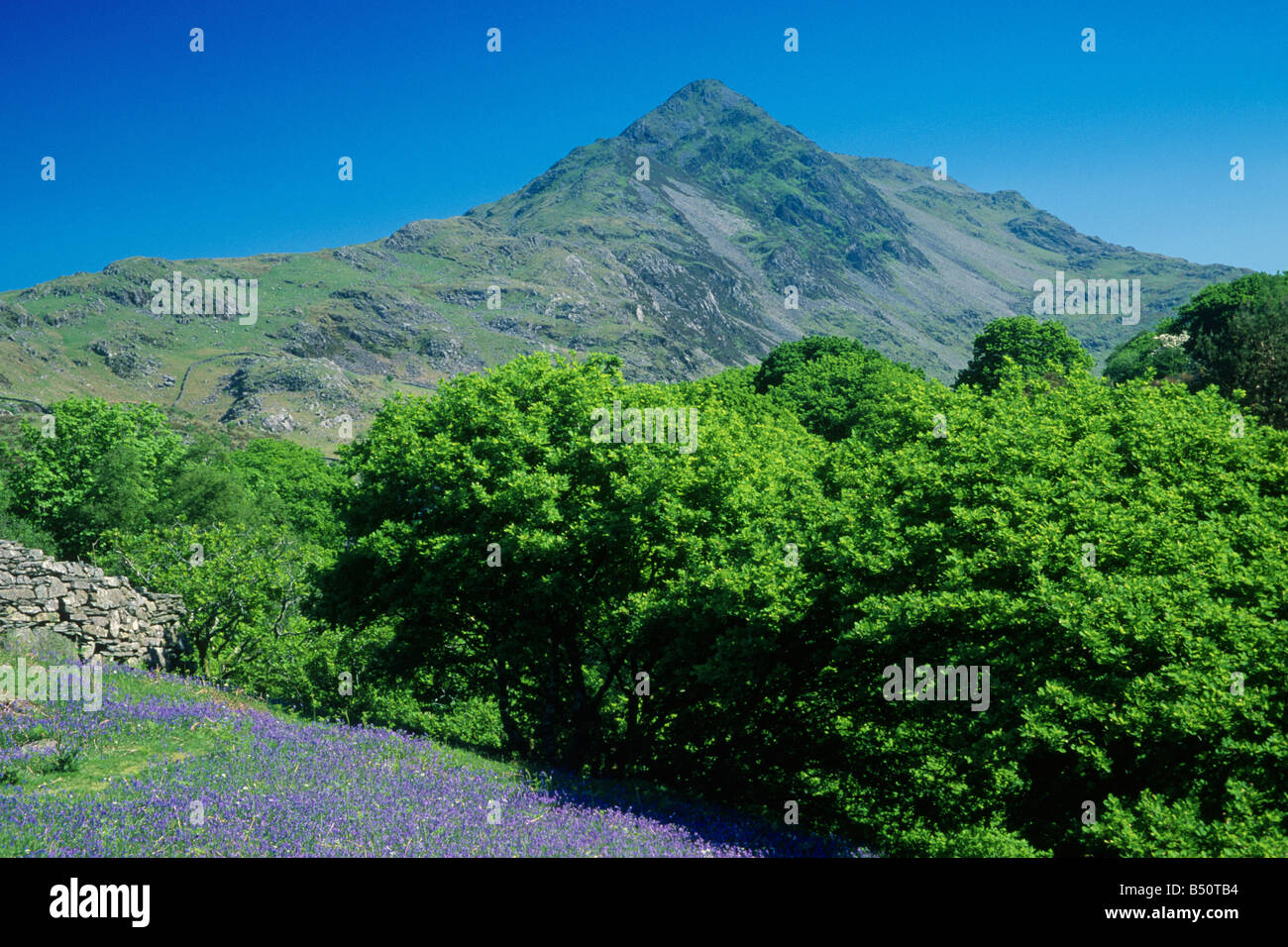 Cnicht from Croesor Valley Snowdonia North Wales Stock Photo - Alamy