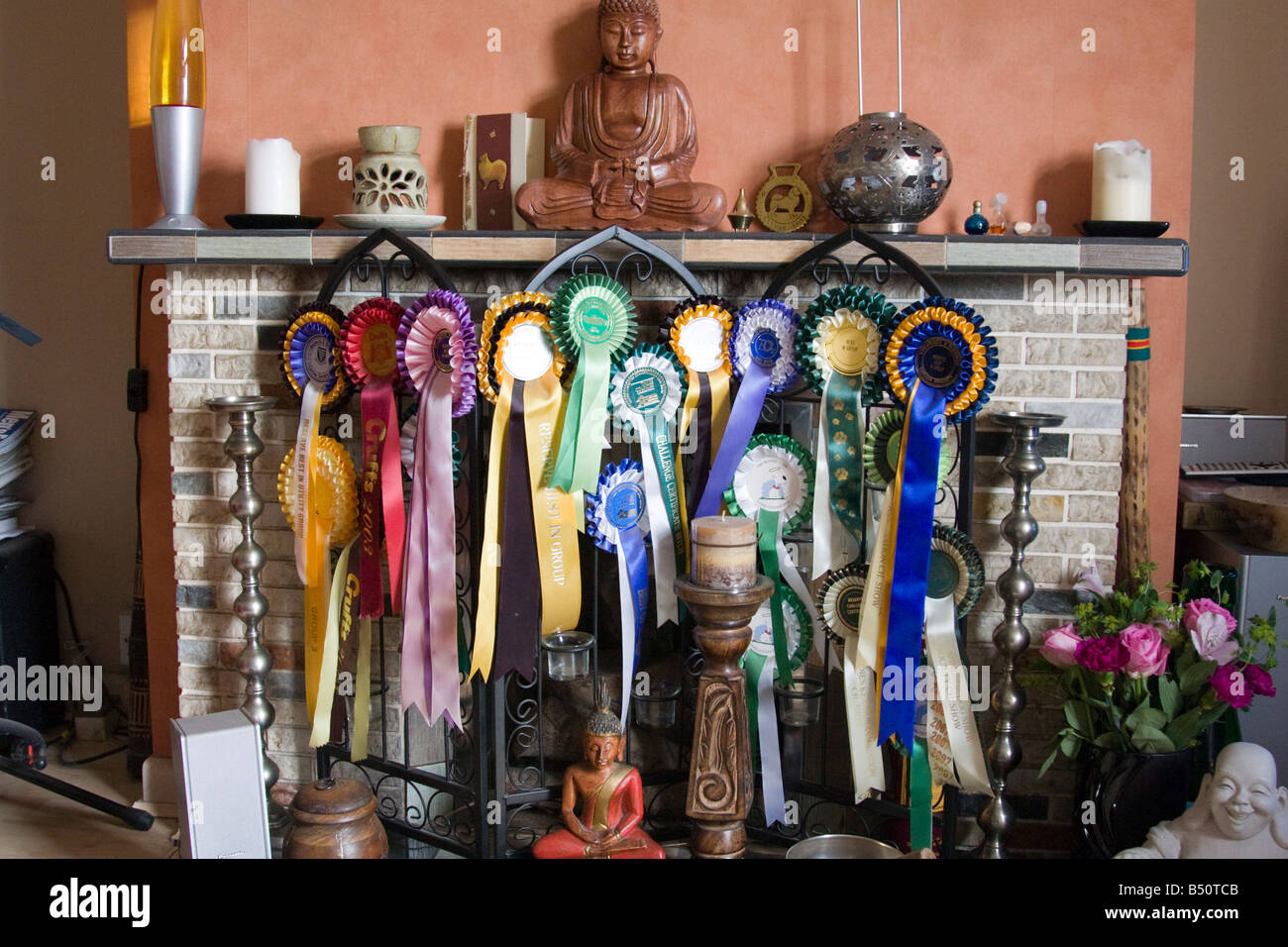 Trophies and prizes on the fire place for pets at annual dog show Stock Photo