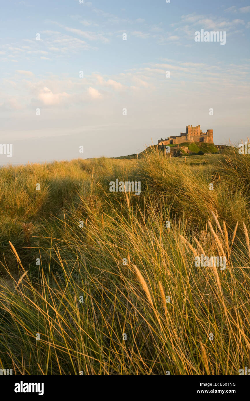 Early evening view of Bamburgh castle Northumberland taken from the dunes with dune grass in the foreground Stock Photo
