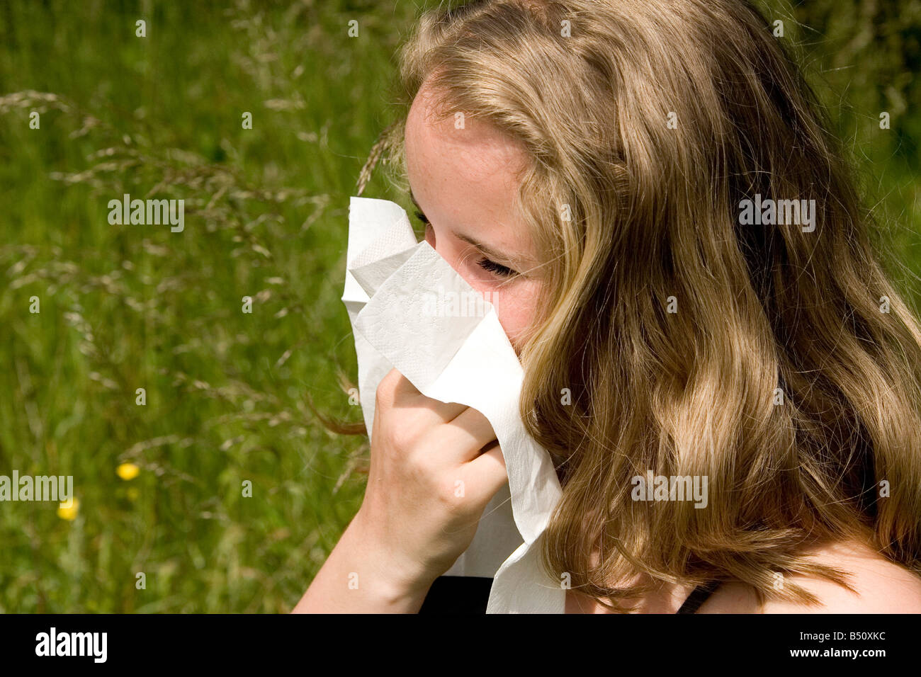 hay fever - heuschnupfen Stock Photo