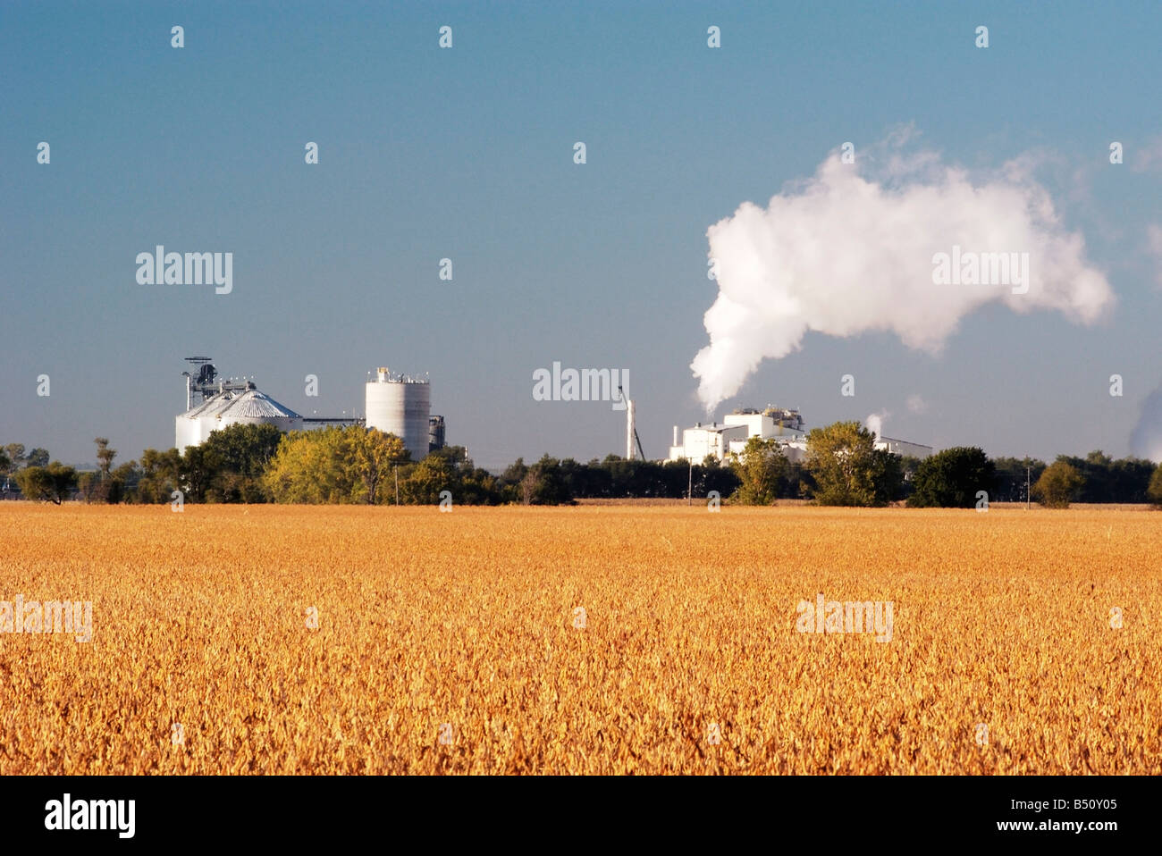 Ethanol production hires stock photography and images Alamy