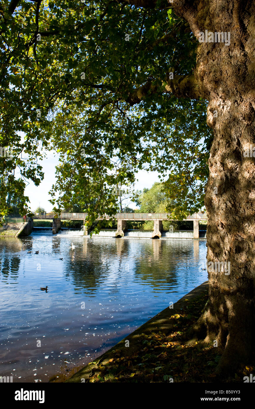French Weir on the River Tone in Taunton Somerset UK Stock Photo Alamy
