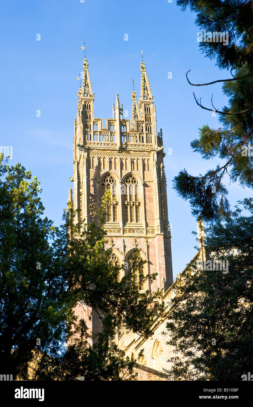 St mary magdalene church taunton hi-res stock photography and images ...