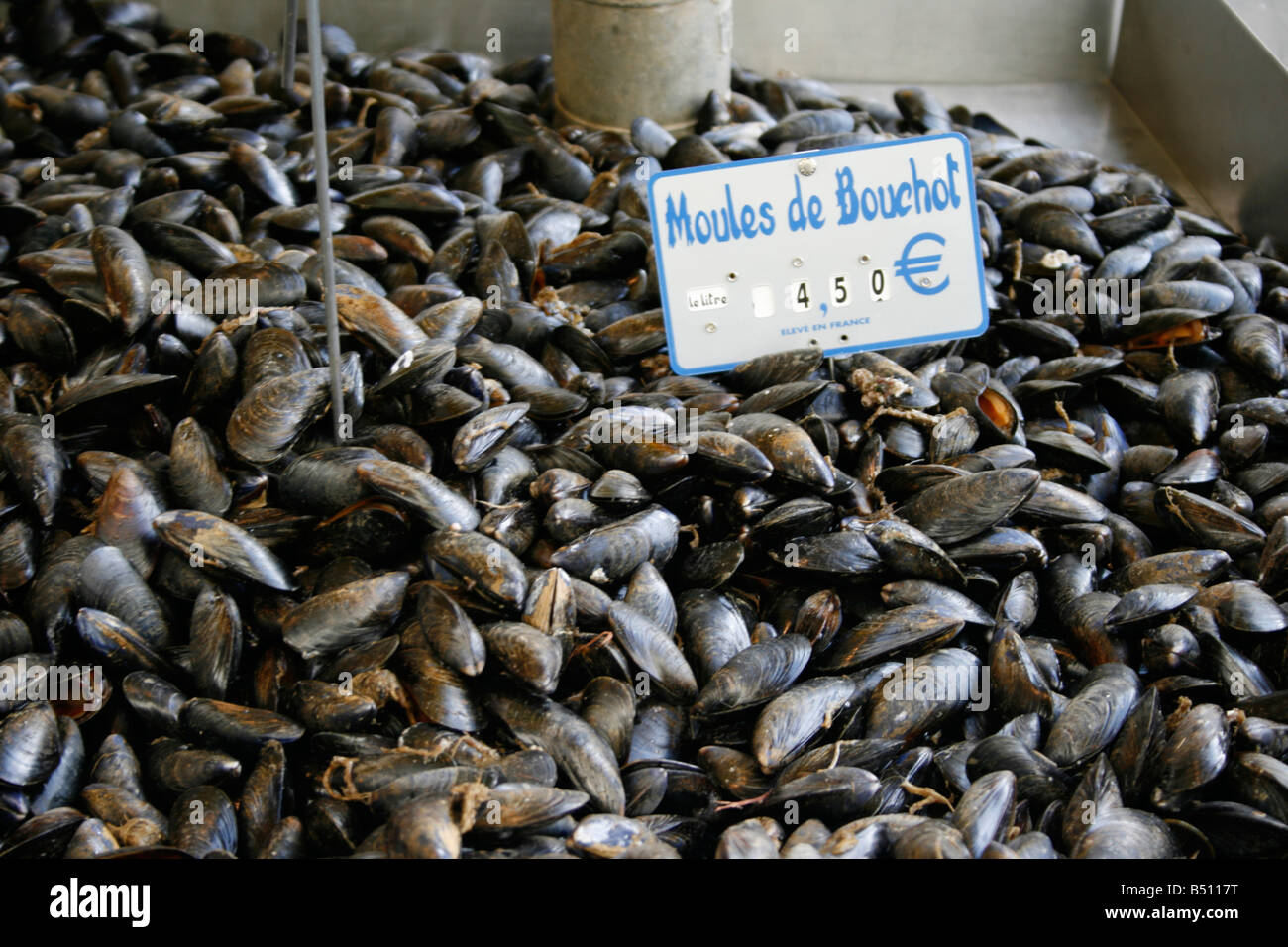 Mussels for sale at Senlis market held every Tuesday Stock Photo Alamy