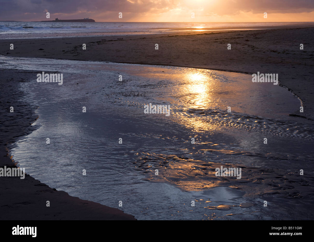 Sunrise on Bamburgh beach Northumberland with golden light reflected in a beach stream Stock Photo