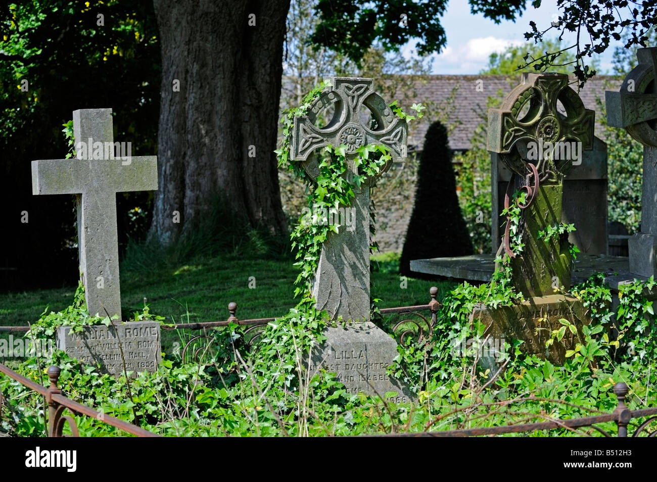 Ivy clad gravestones. Church of Saint Wilfrid, Melling, Lancashire