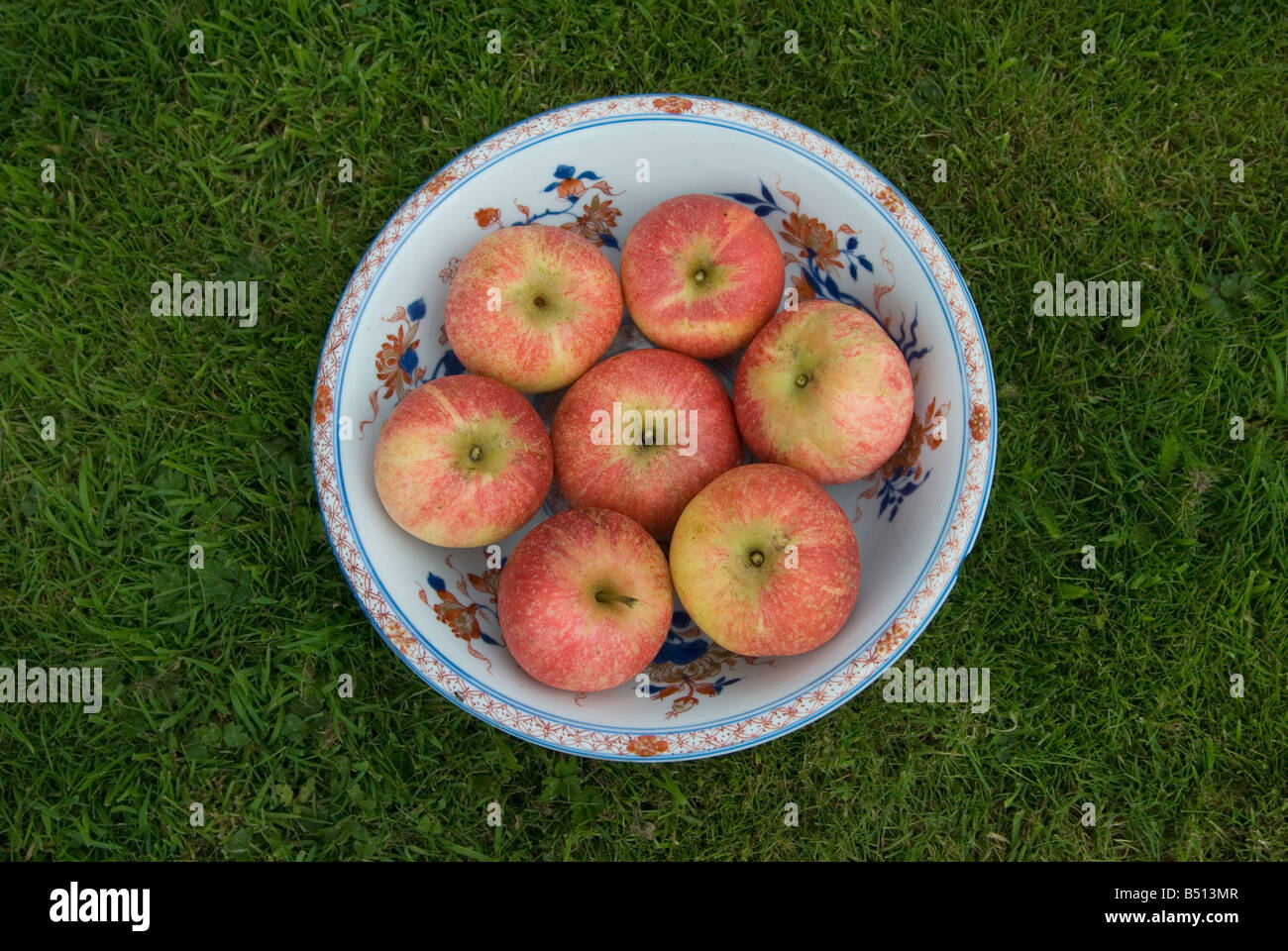 Beauty of Bath apples in old Chinese bowl on grass Stock Photo
