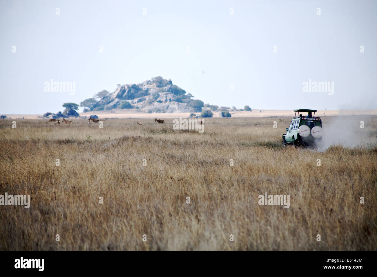 Off roading on safari in Serengeti National Park Stock Photo