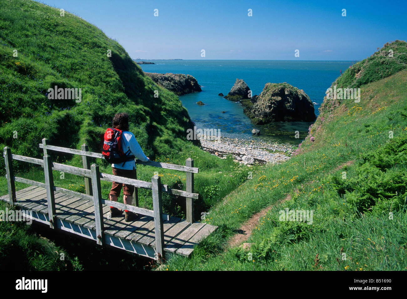 Porth Tywodog Carmel Head Anglesey North Wales Stock Photo