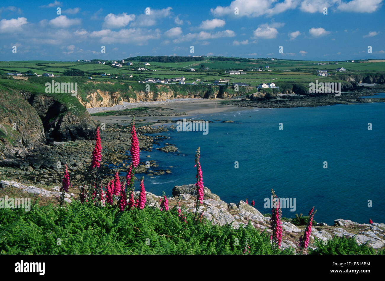 Church Bay Anglesey North Wales Stock Photo Alamy