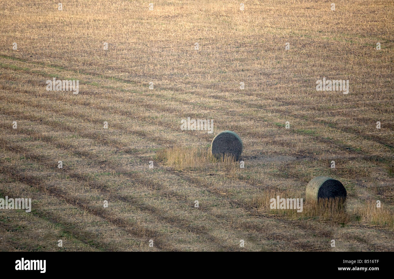 straw bales in a field Stock Photo