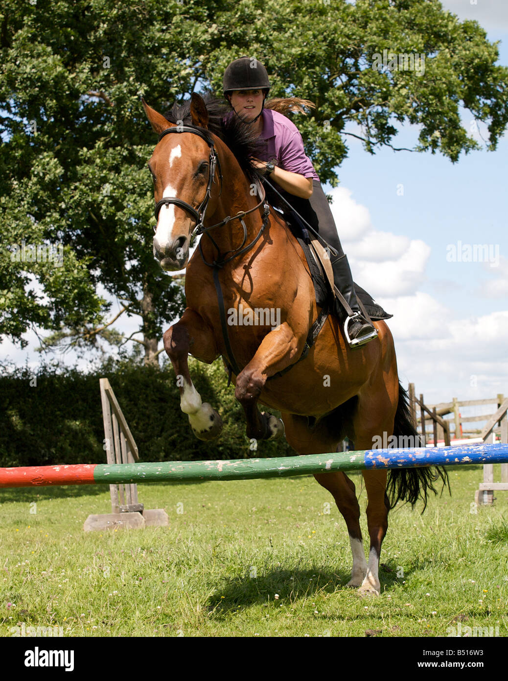 Rider and horse jumping. Stock Photo