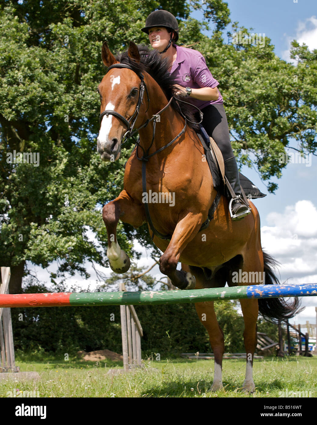 Rider and horse jumping. Stock Photo
