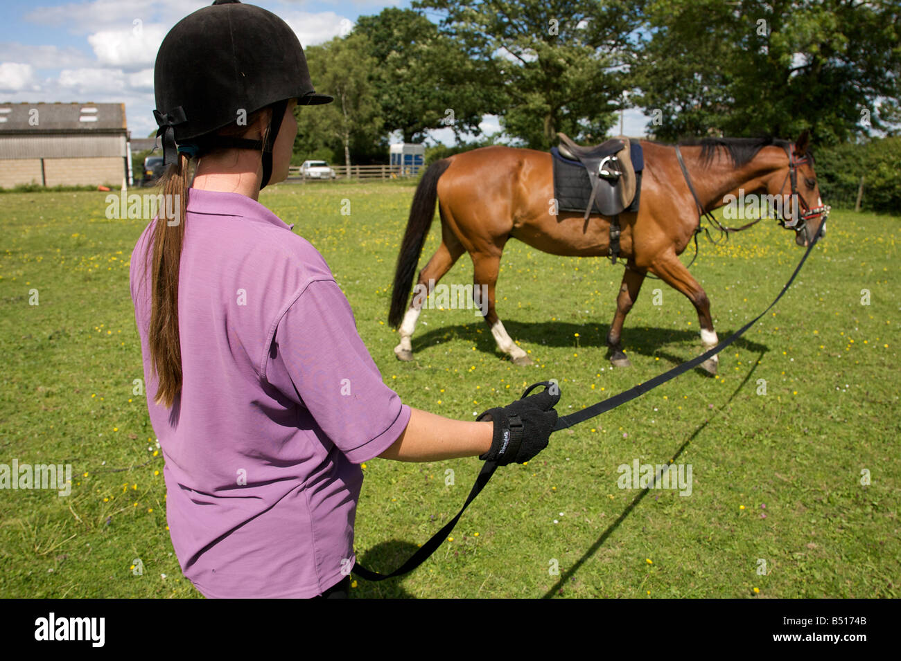 Rider lunging a horse Stock Photo Alamy