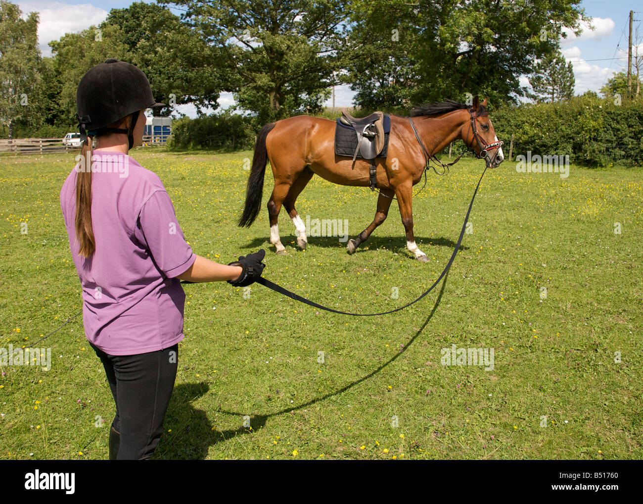 Lunging the adult rider book Lunging the adult rider book with you
