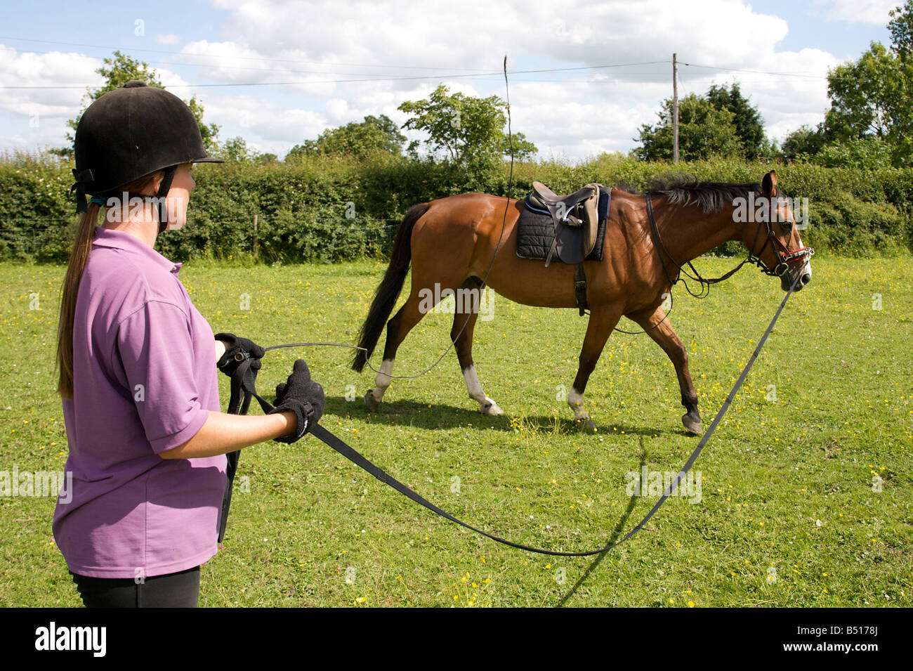 Simply magnificent Lunging the adult rider book idea)))) Criticism Lunging the adult rider book have hit