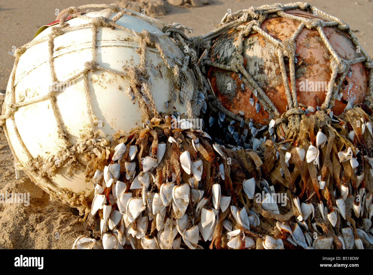 Two buoys covered in shellfish Stock Photo
