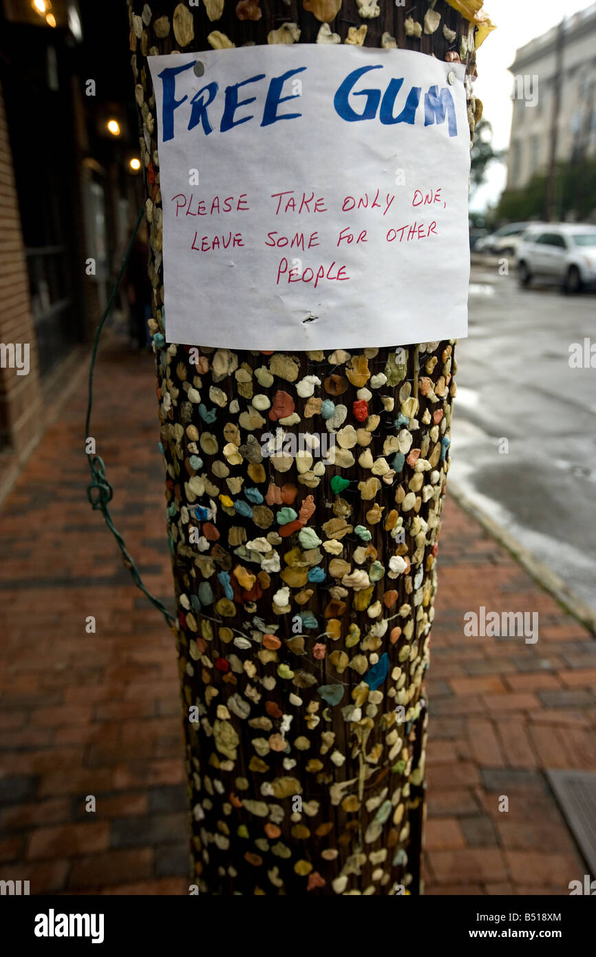 Free Gum post in downtown Charleston SC The telephone pole is covered with used gum and often carries a witty sign Stock Photo