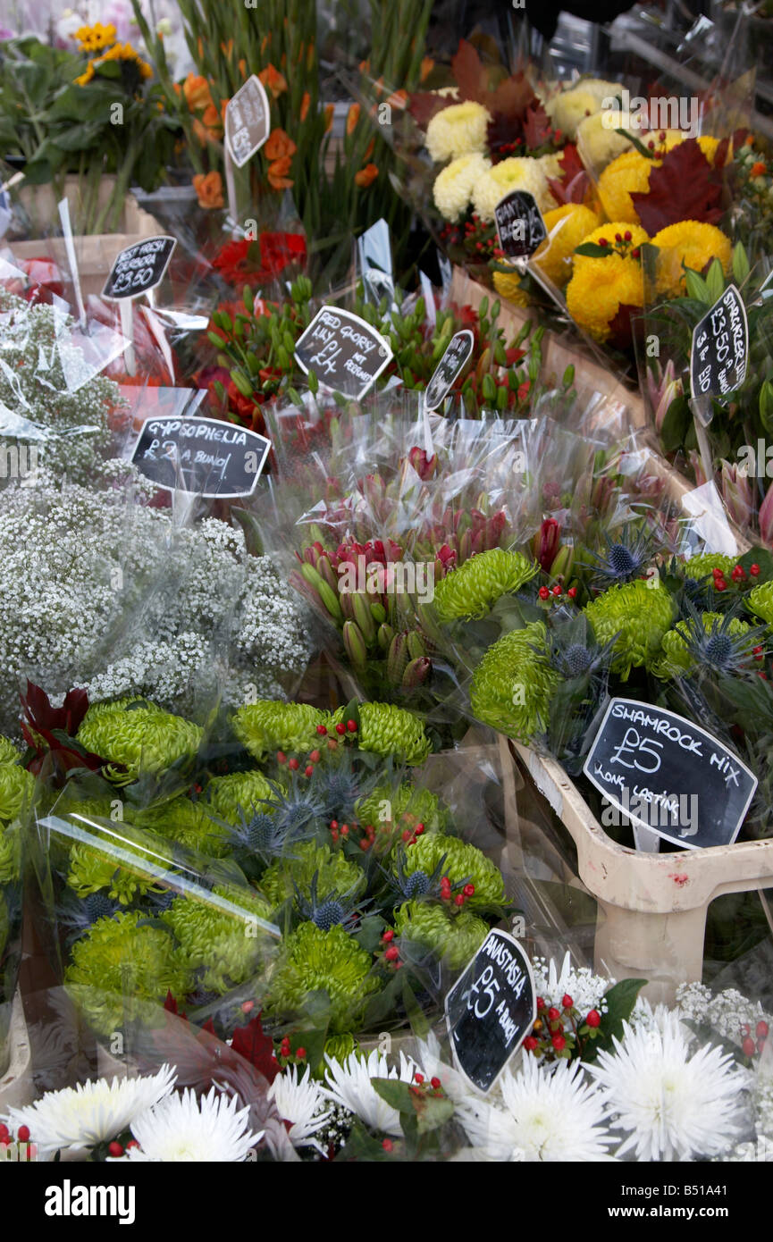 Variety of flowers for sale at Columbia Road Flower Market, Shoreditch