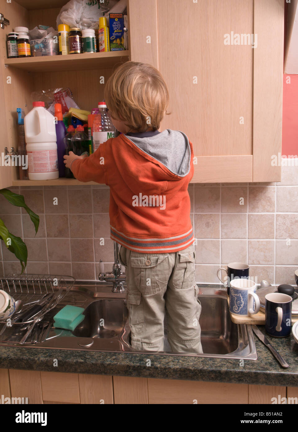 young child, boy, reaching dangerous kitchen cupboards by climbing into sink Stock Photo Alamy