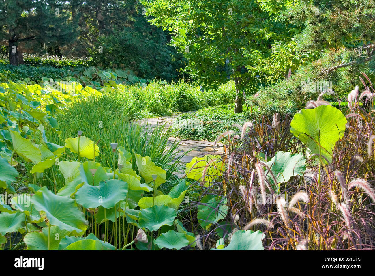Montreal chinese garden hires stock photography and images Alamy