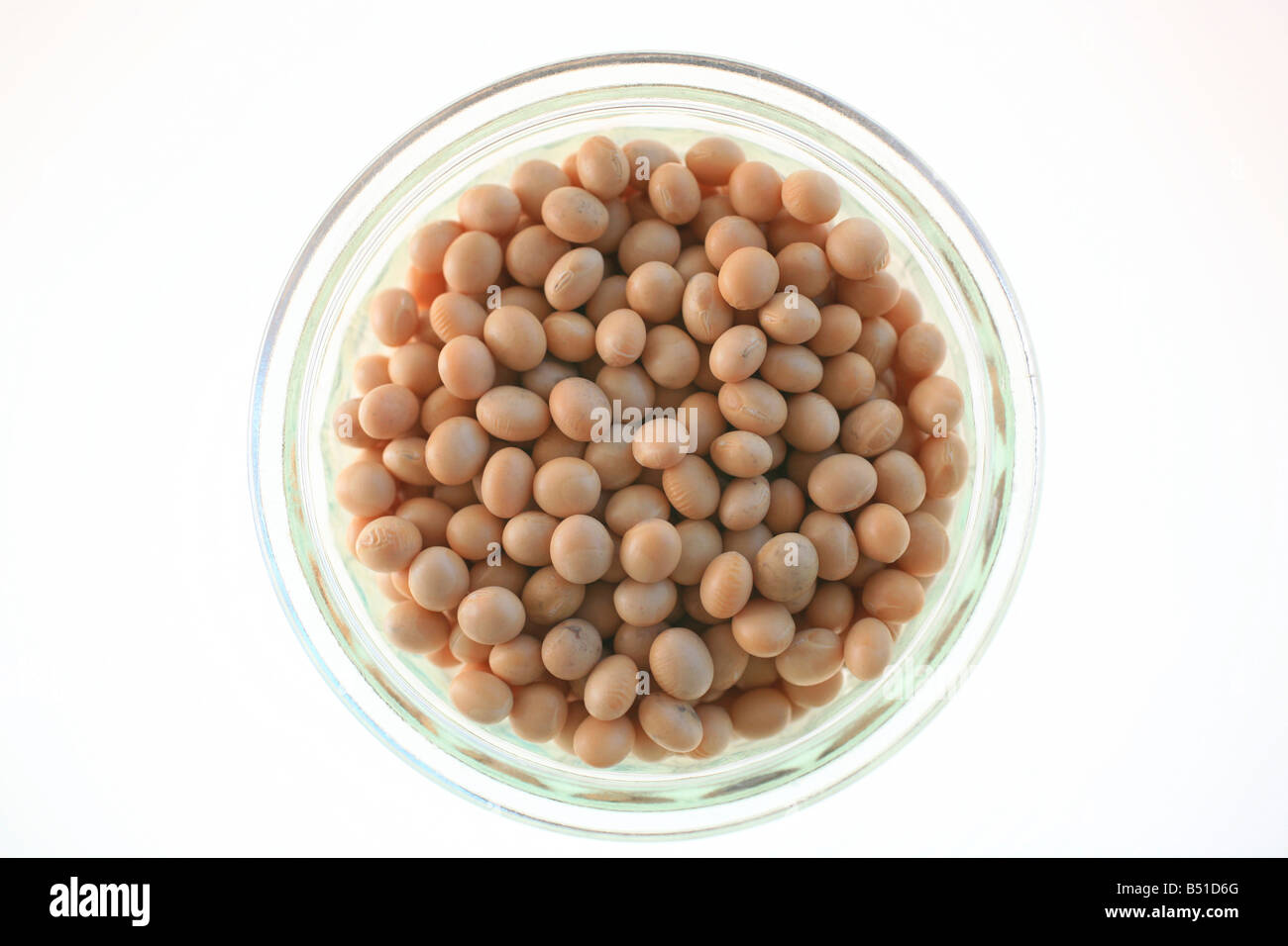Soy beans Stock Photo