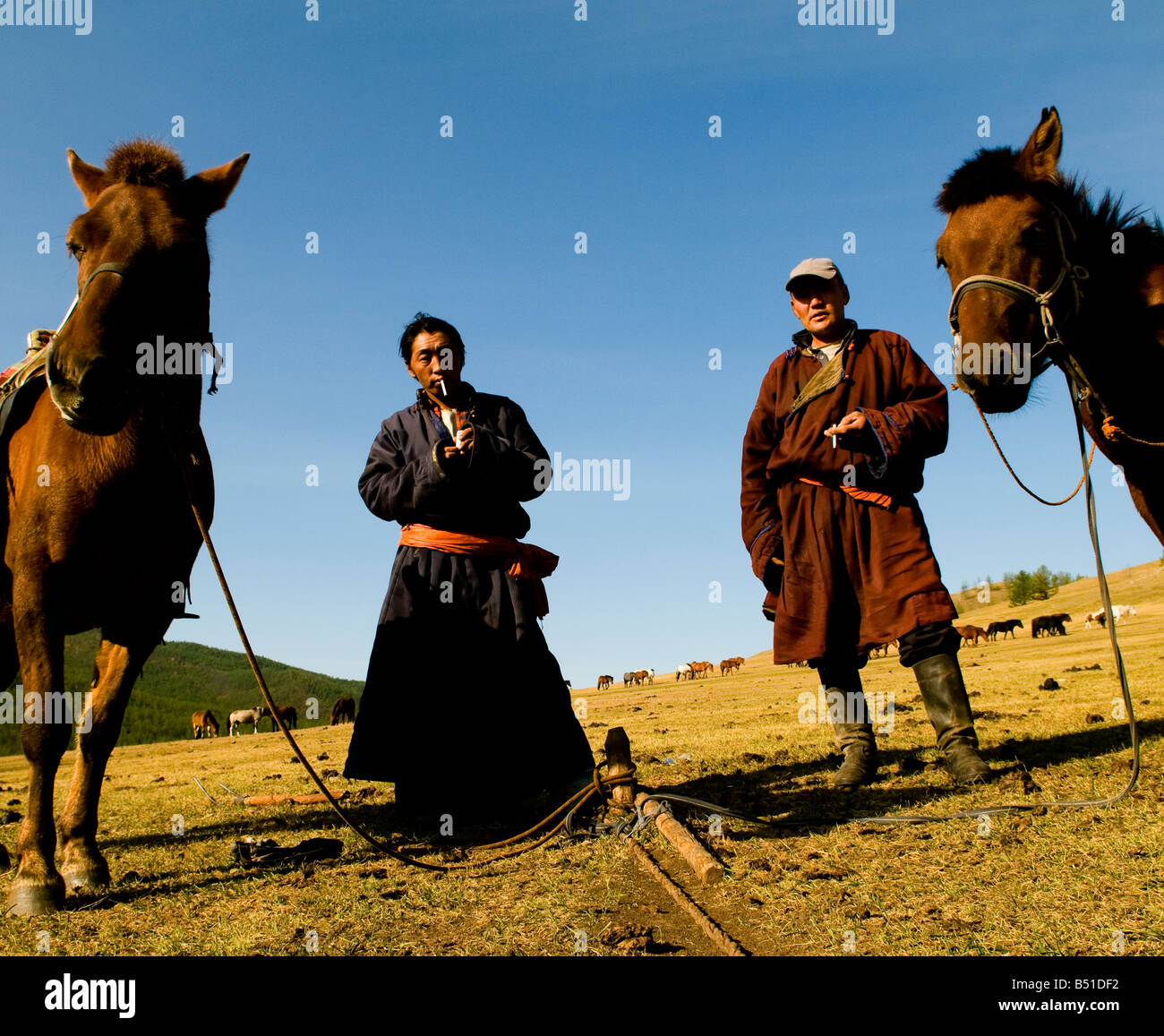 Mongols and their horses Stock Photo