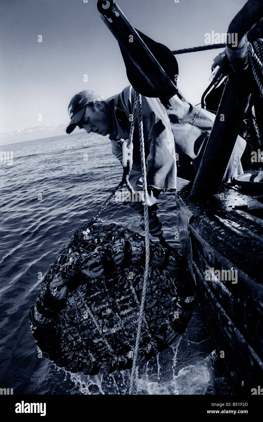 Crab fishing off South West coast of Devon England UK Stock Photo - Alamy