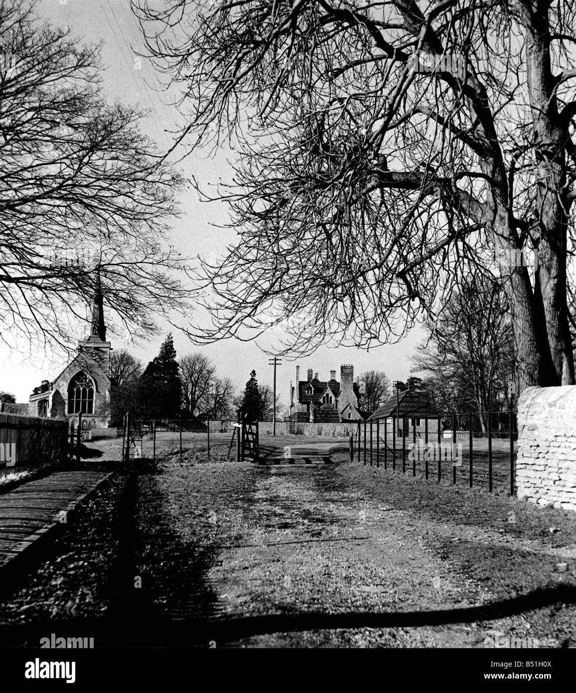 The Church of St. James, the register of which dates back to 1678, in the village of Grafton Underwood, Northants. The yew trees may be almost the same age as the Church but metal railings show the modern influence. Circa 1948 P000112; Stock Photo