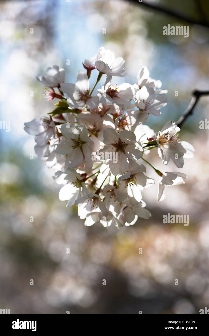 Toronto power plant hi-res stock photography and images - Alamy