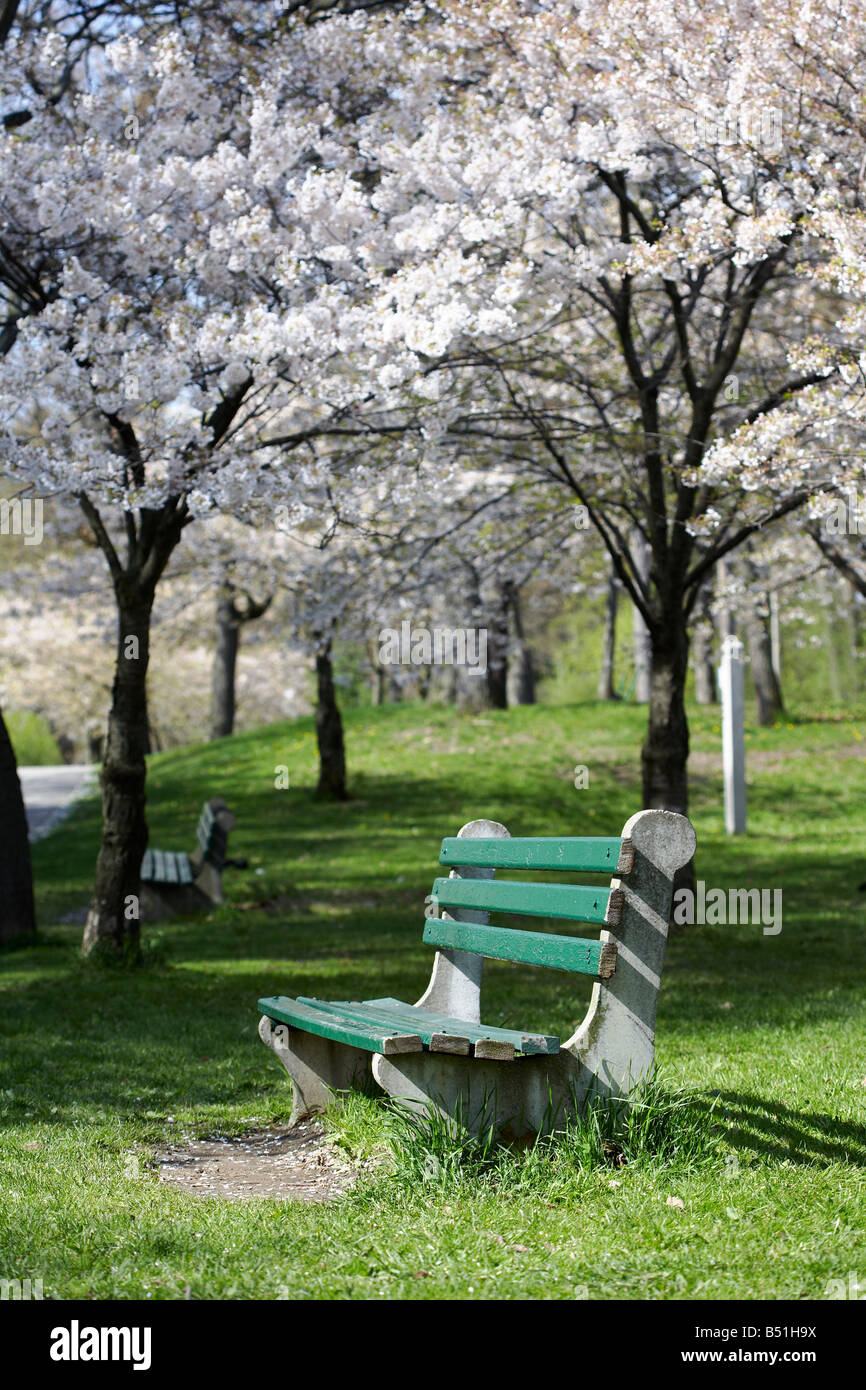 Spring images of capitol hi-res stock photography and images - Alamy