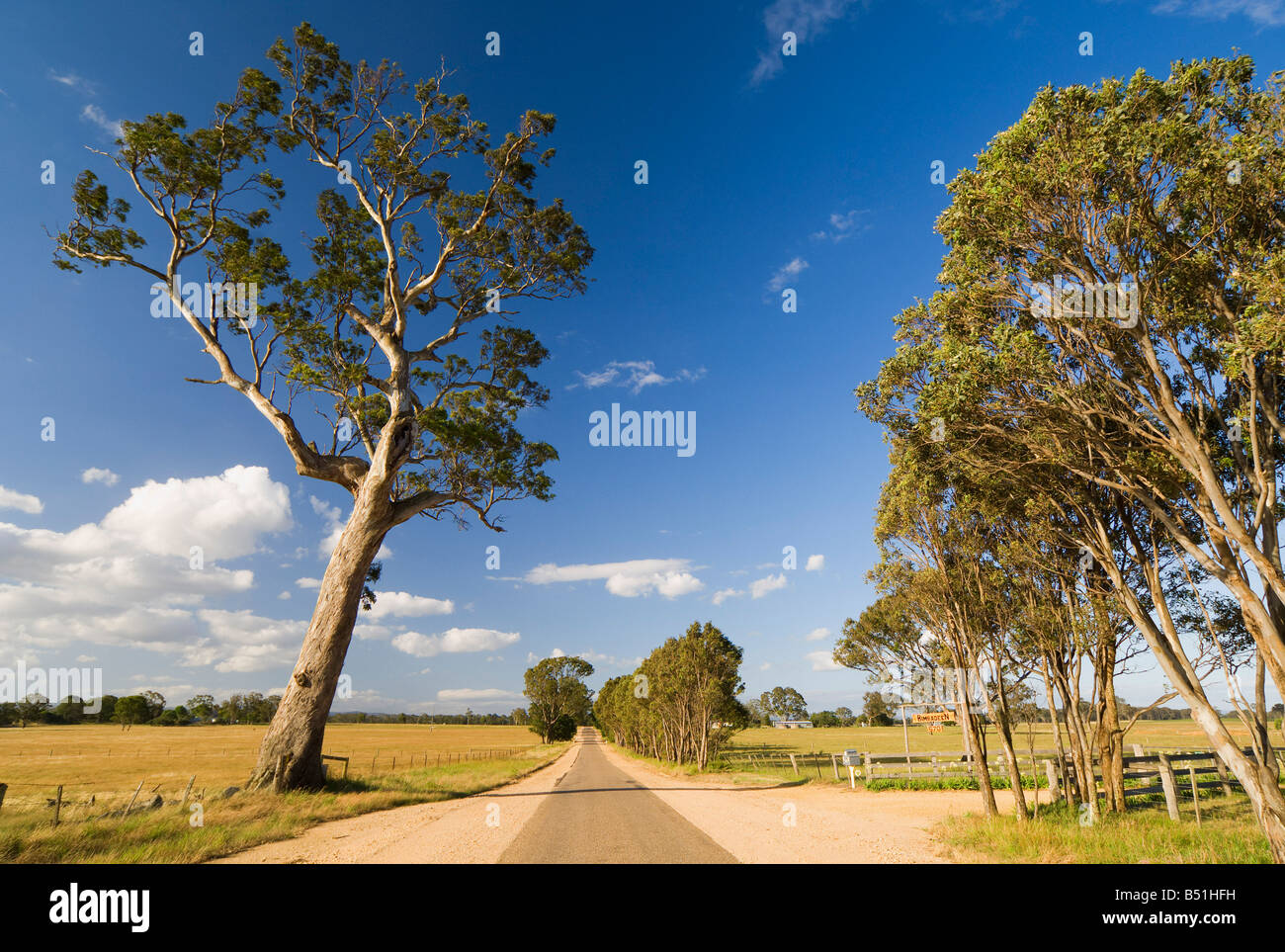 Rural Road, Glenaladale, Victoria, Australia Stock Photo