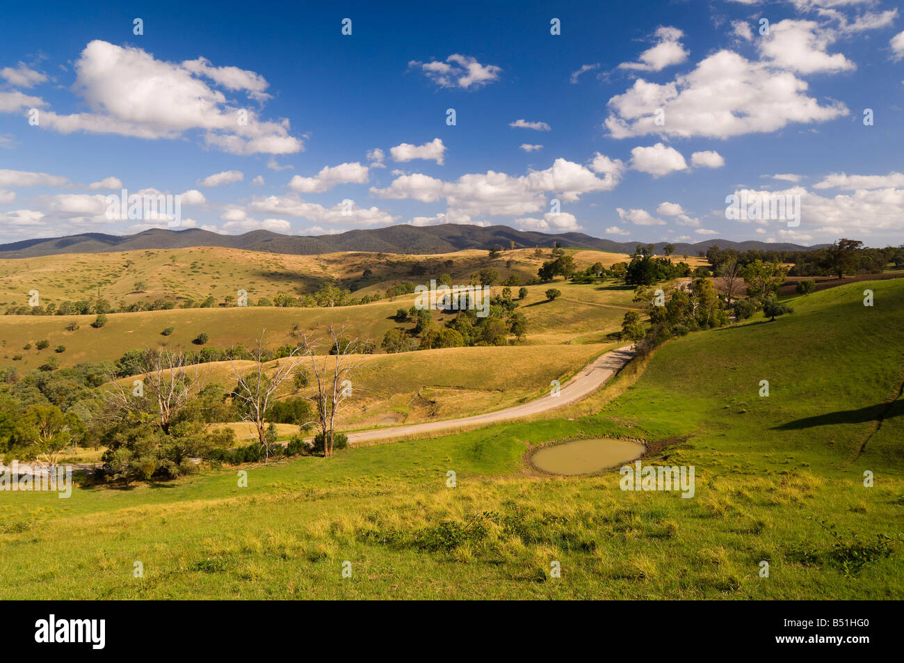 Farmland, Victoria, Australia Stock Photo