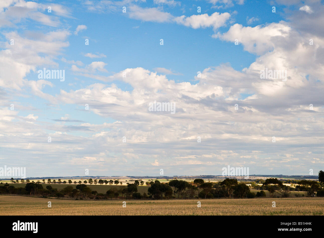 Corrigin, Western Australia Australia Stock Photo