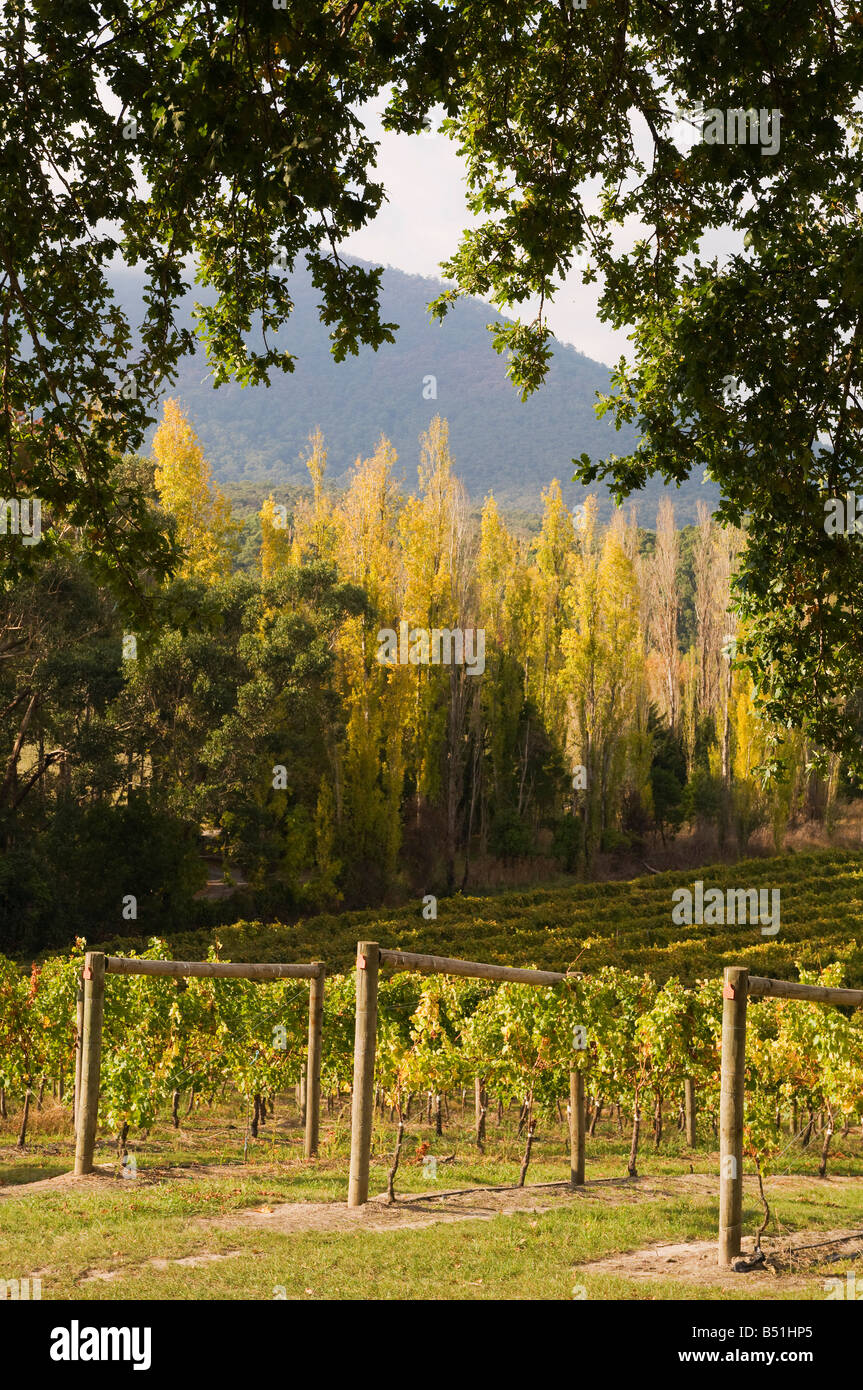Yarra valley, victoria australia hires stock photography and images Alamy