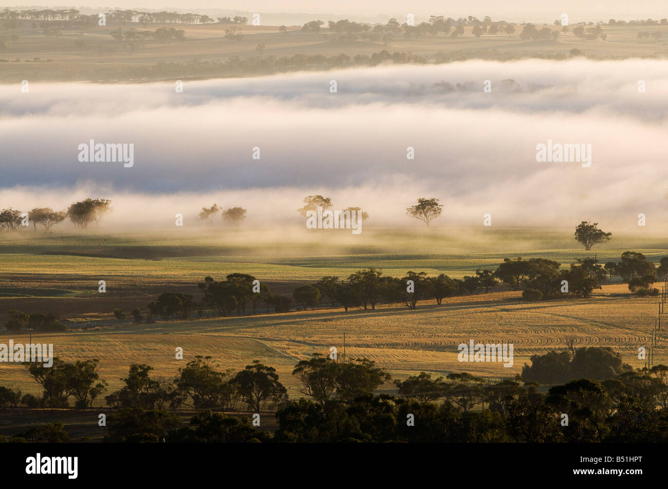 Avon Valley, York, Western Australia, Australia Stock Photo