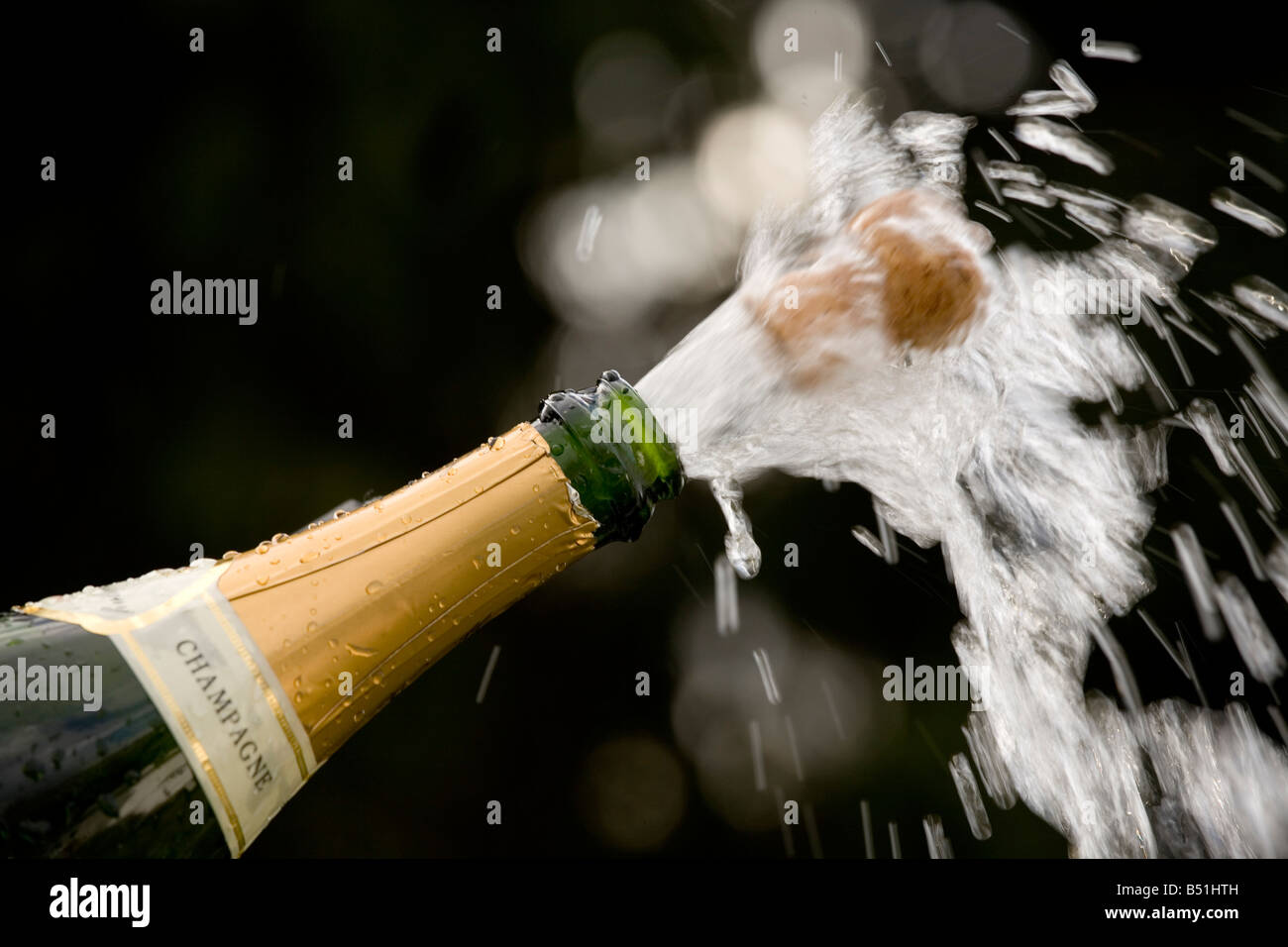 Sparkling wine bottle Stock Photo Alamy