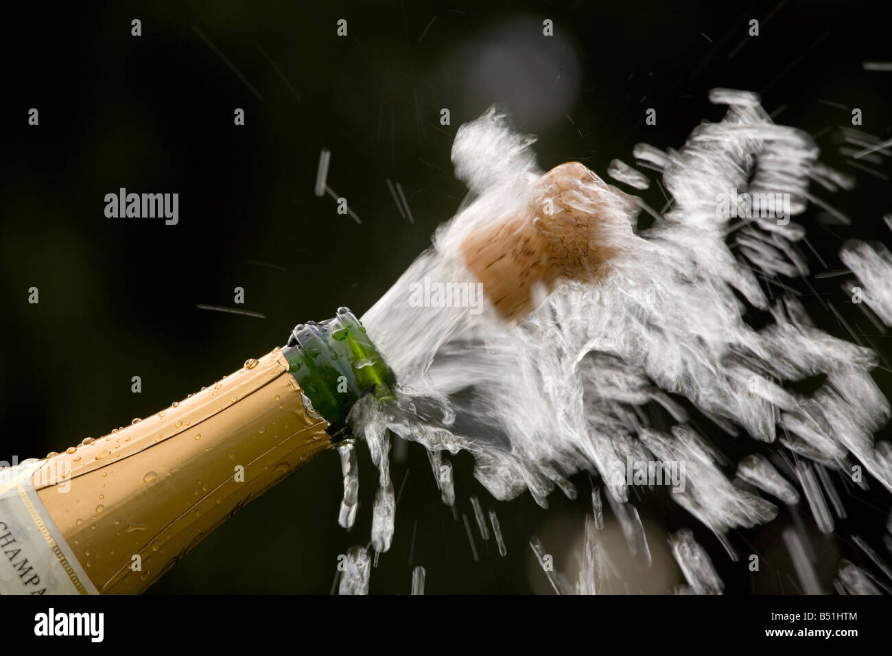 Sparkling wine bottle Stock Photo Alamy