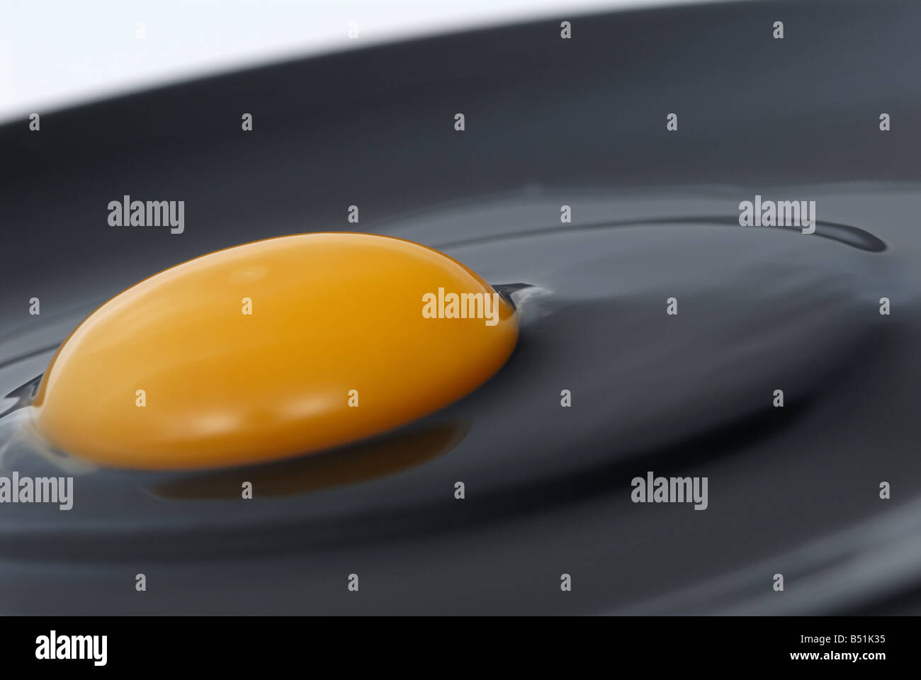 crashed chicken egg Stock Photo Alamy