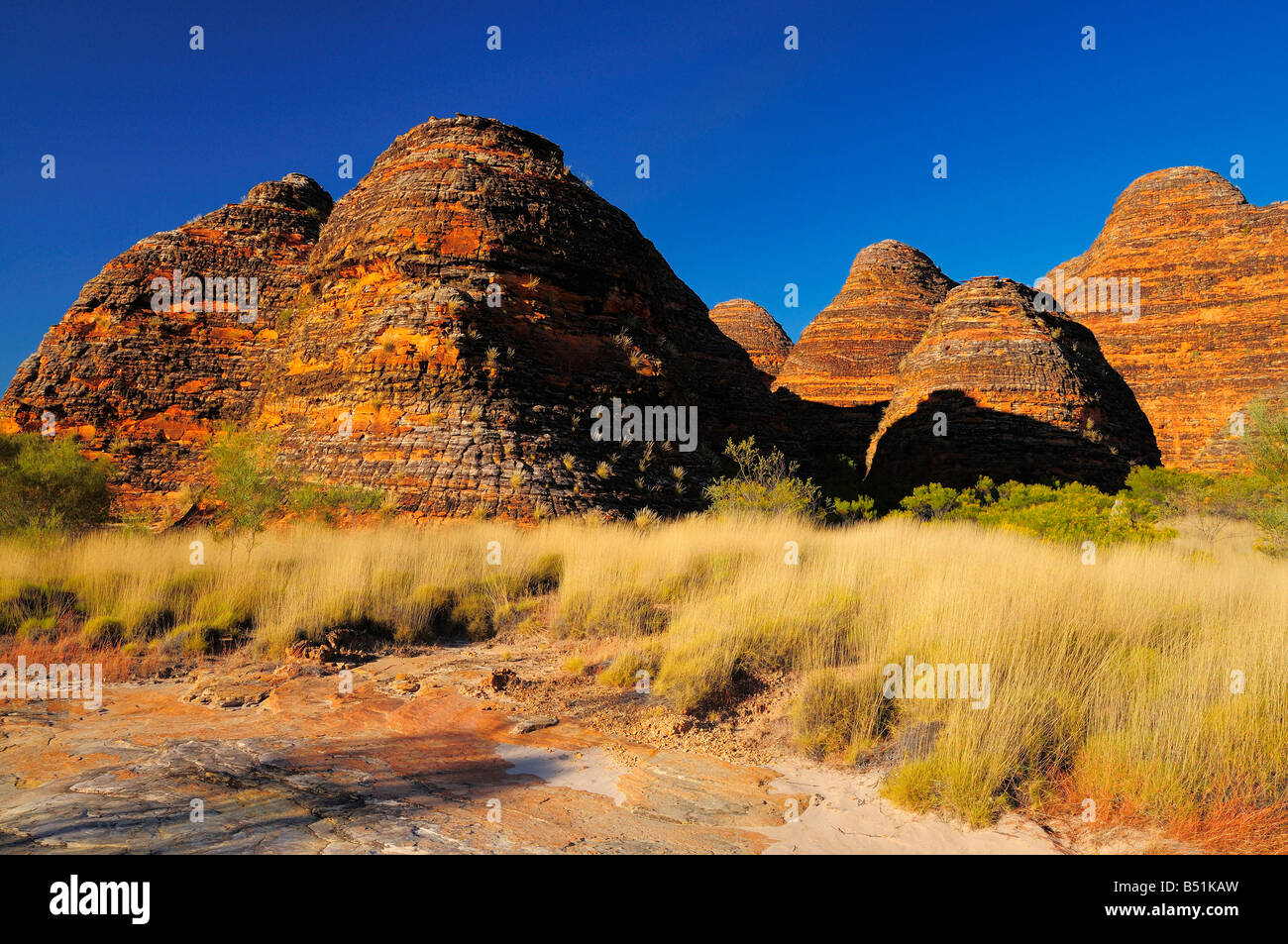 The Domes, Bungle Bungle Range, Purnululu National Park, Kimberley, Western Australia, Australia Stock Photo